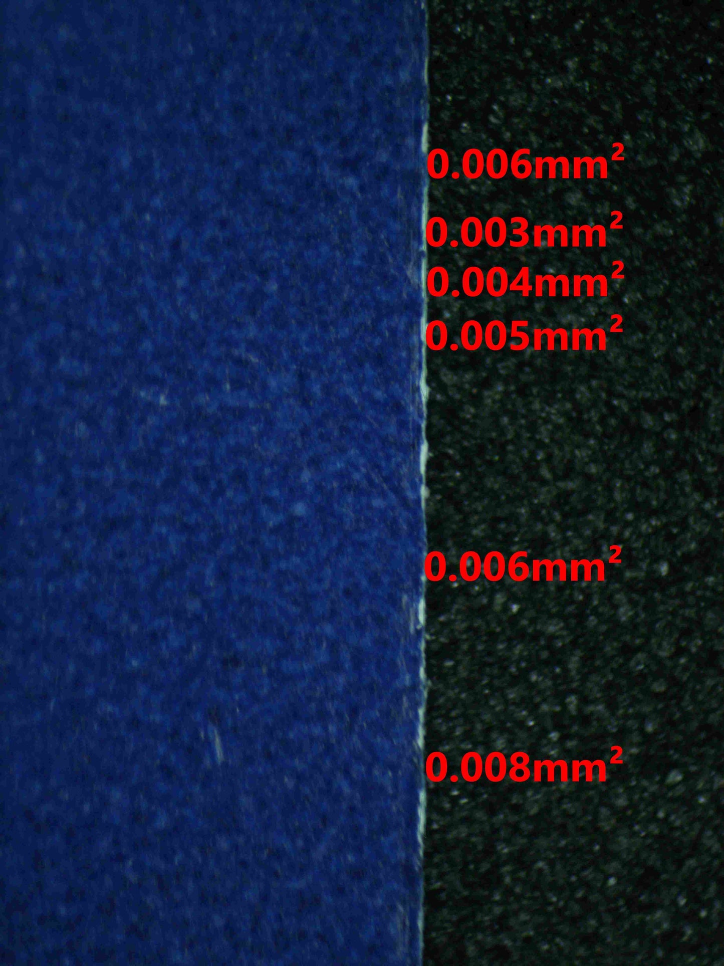 08061 CHARIZARD EX Grading Card