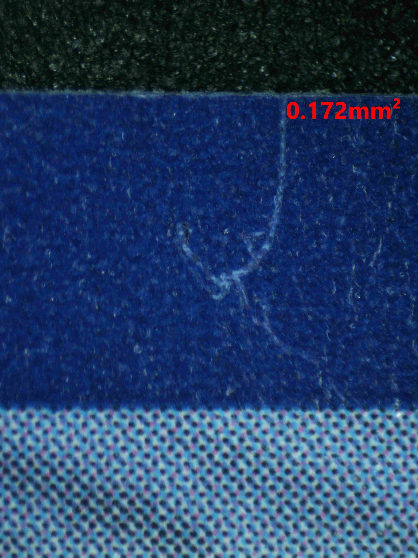 08062 MISTY'S PSYDUCK Grading Card