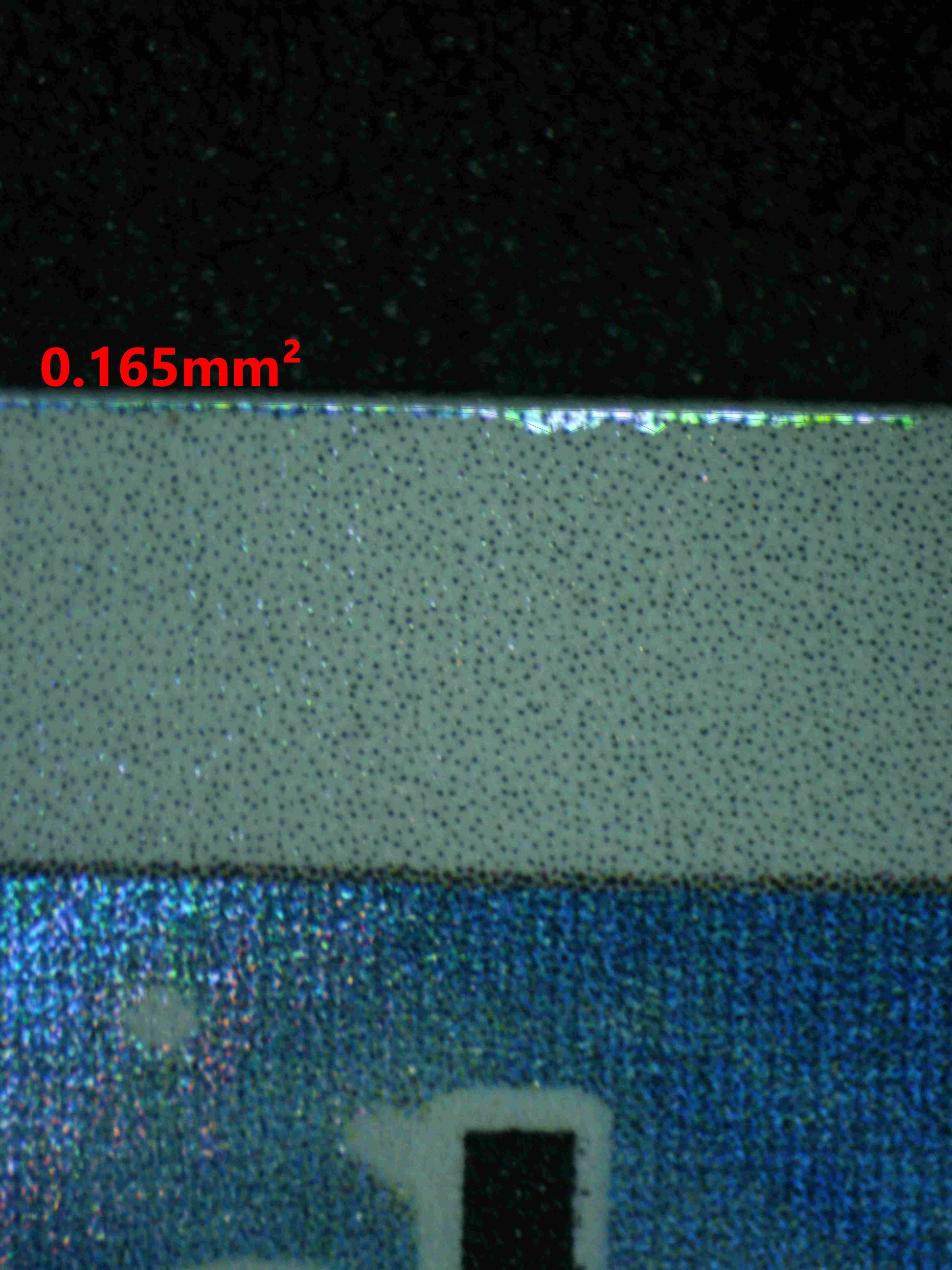 08062 MISTY'S PSYDUCK Grading Card