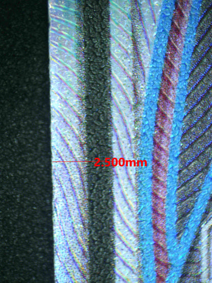 08064 RAYQUAZA GX (SPANISH) Grading Card