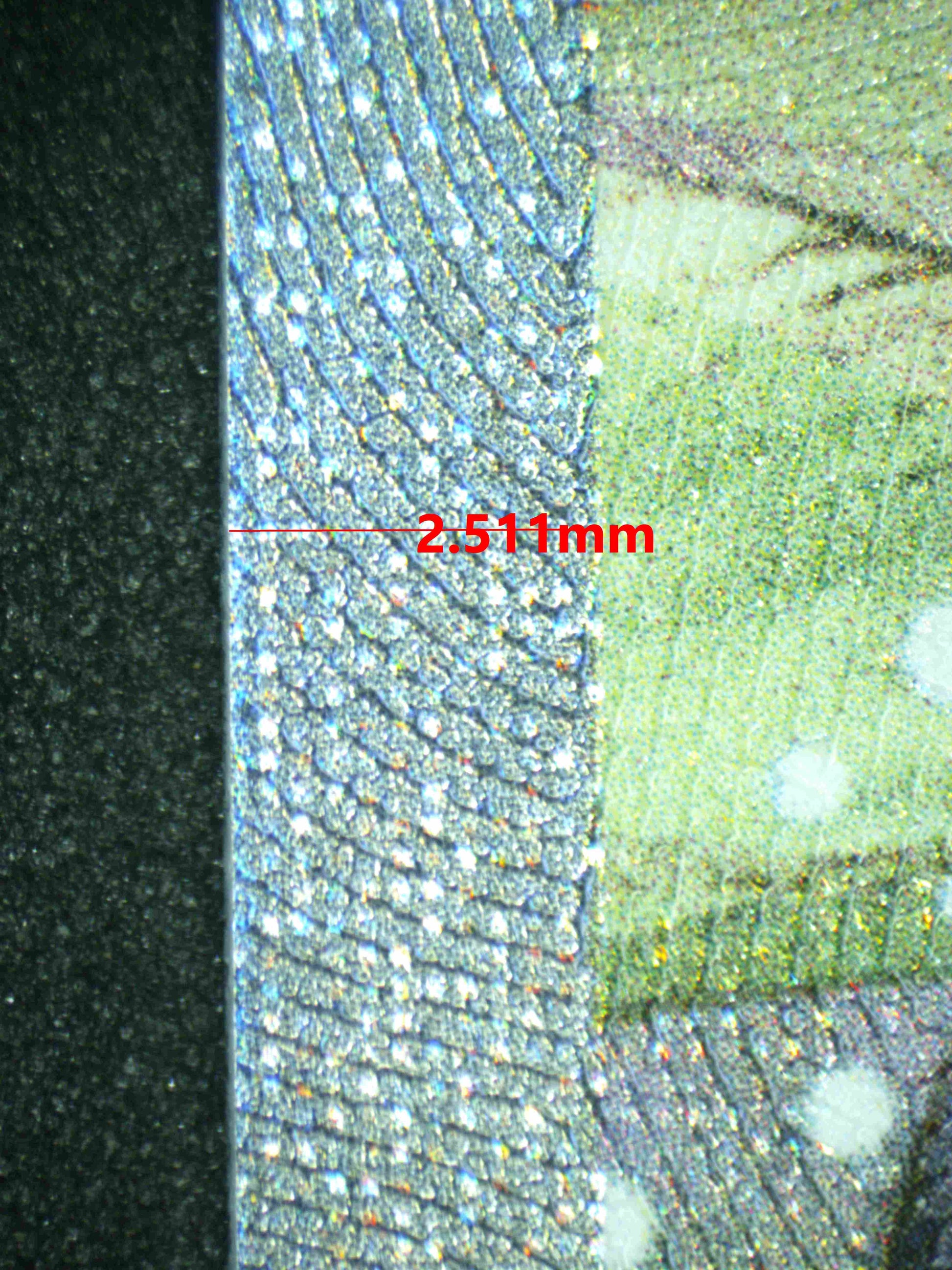 08067 MILOTIC EX Grading Card