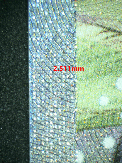 08067 MILOTIC EX Grading Card