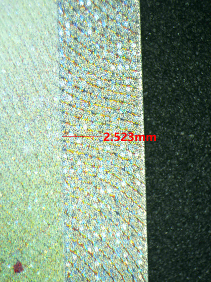 08067 MILOTIC EX Grading Card