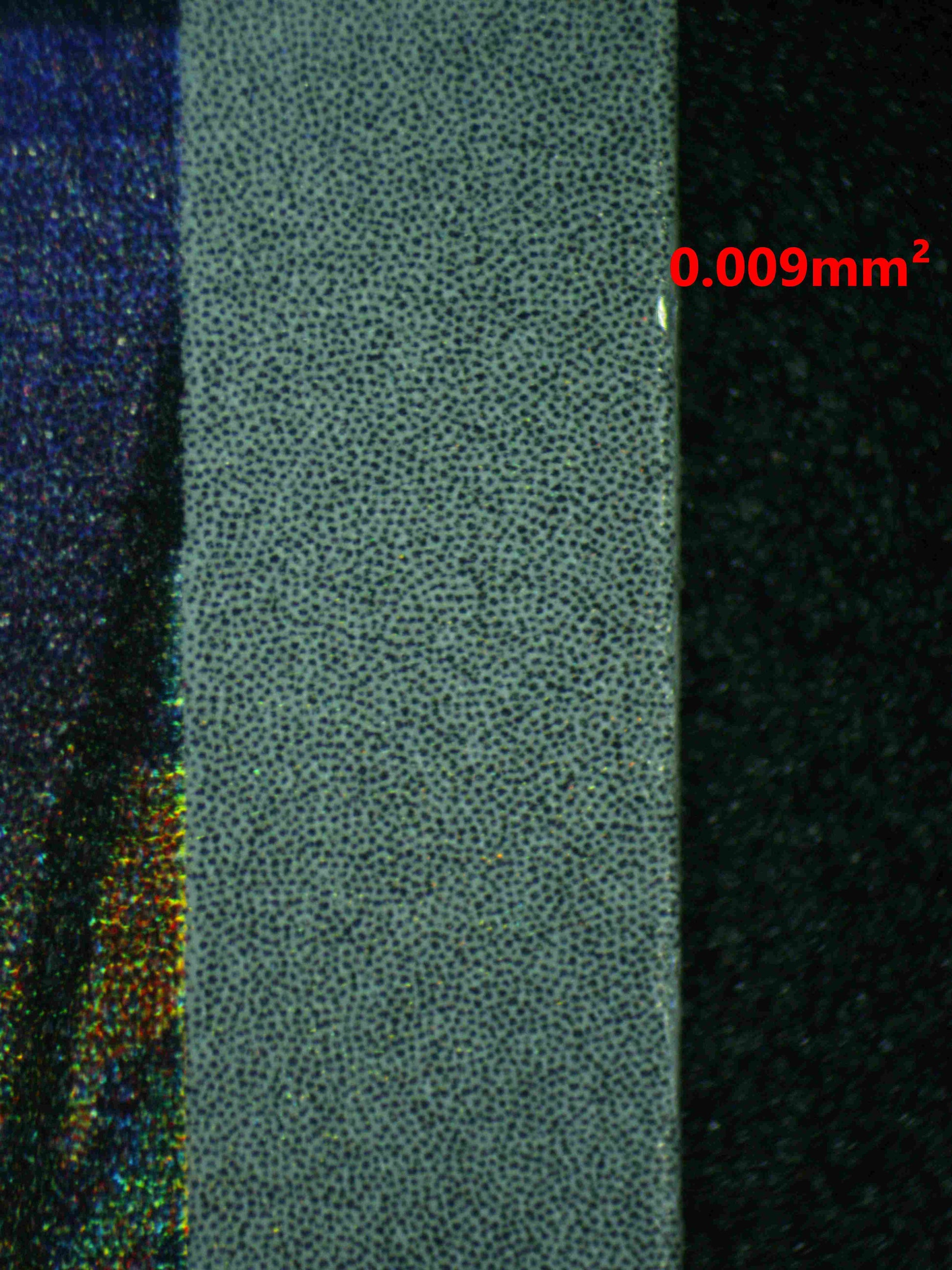 08072 SQUIRTLE Grading Card