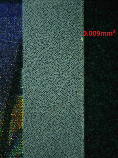 08072 SQUIRTLE Grading Card