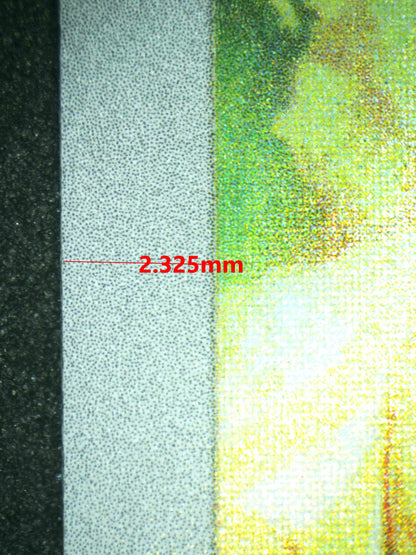 08074 HISUIAN GROWLITHE Grading Card