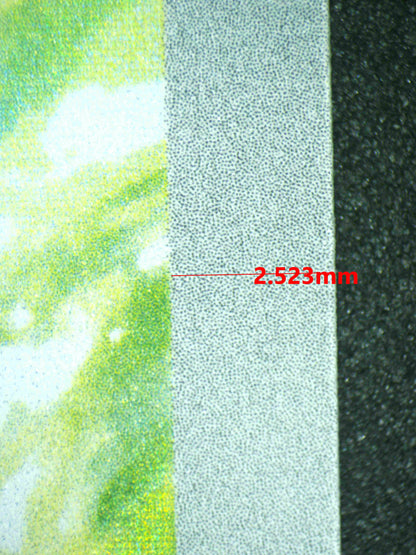 08074 HISUIAN GROWLITHE Grading Card