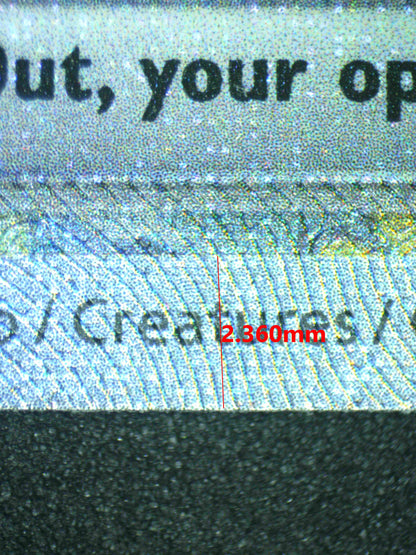 08077 ROARING MOON EX Grading Card