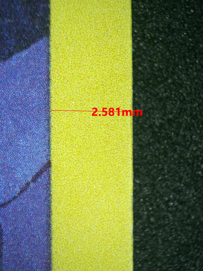 08078 MEW Grading Card