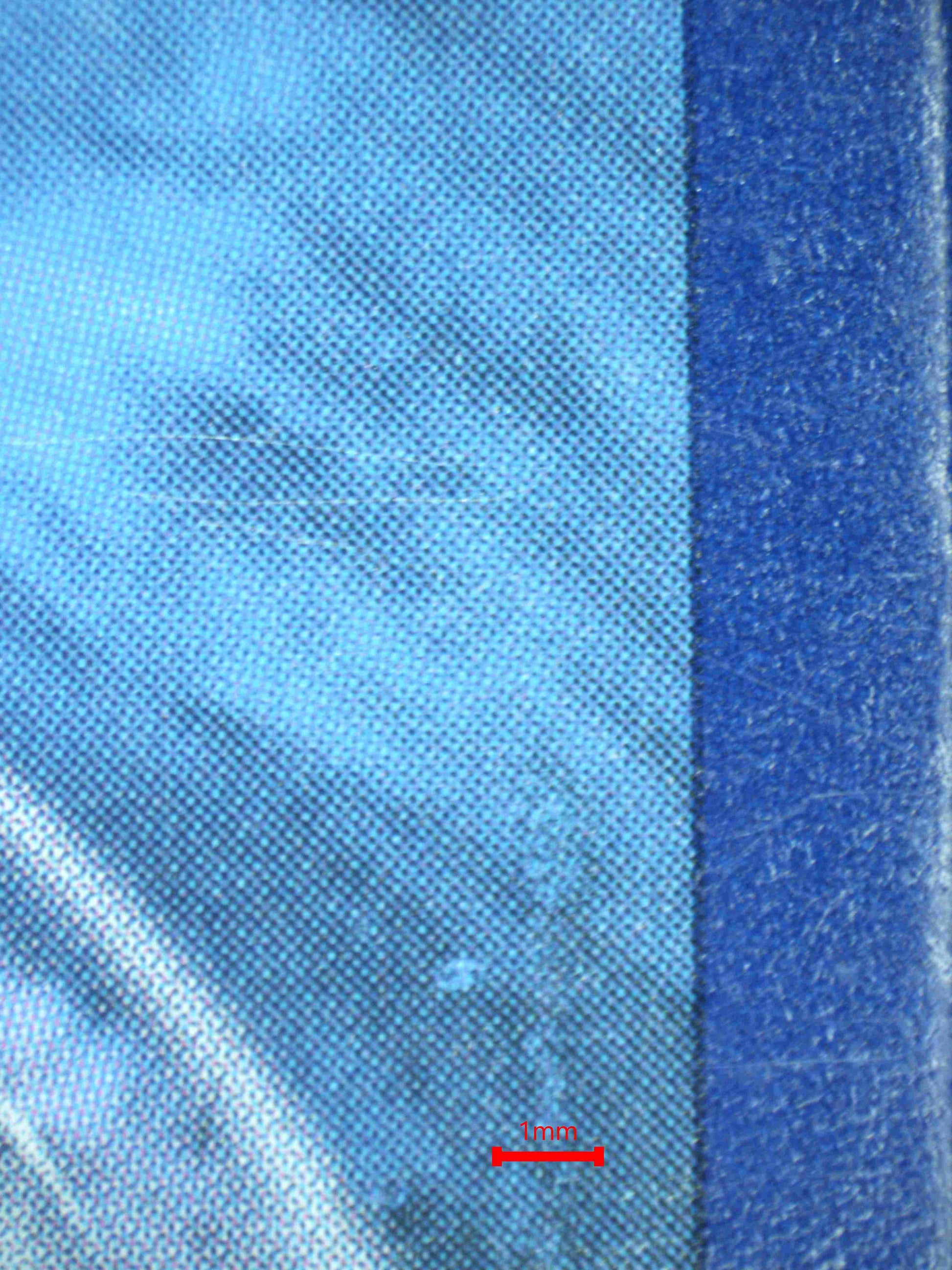 08079 MEWTWO & MEW GX Grading Card