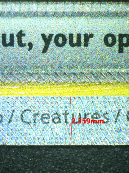 08081 GHOLDENGO EX Grading Card