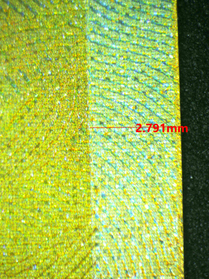 08082 ROARING MOON EX Grading Card