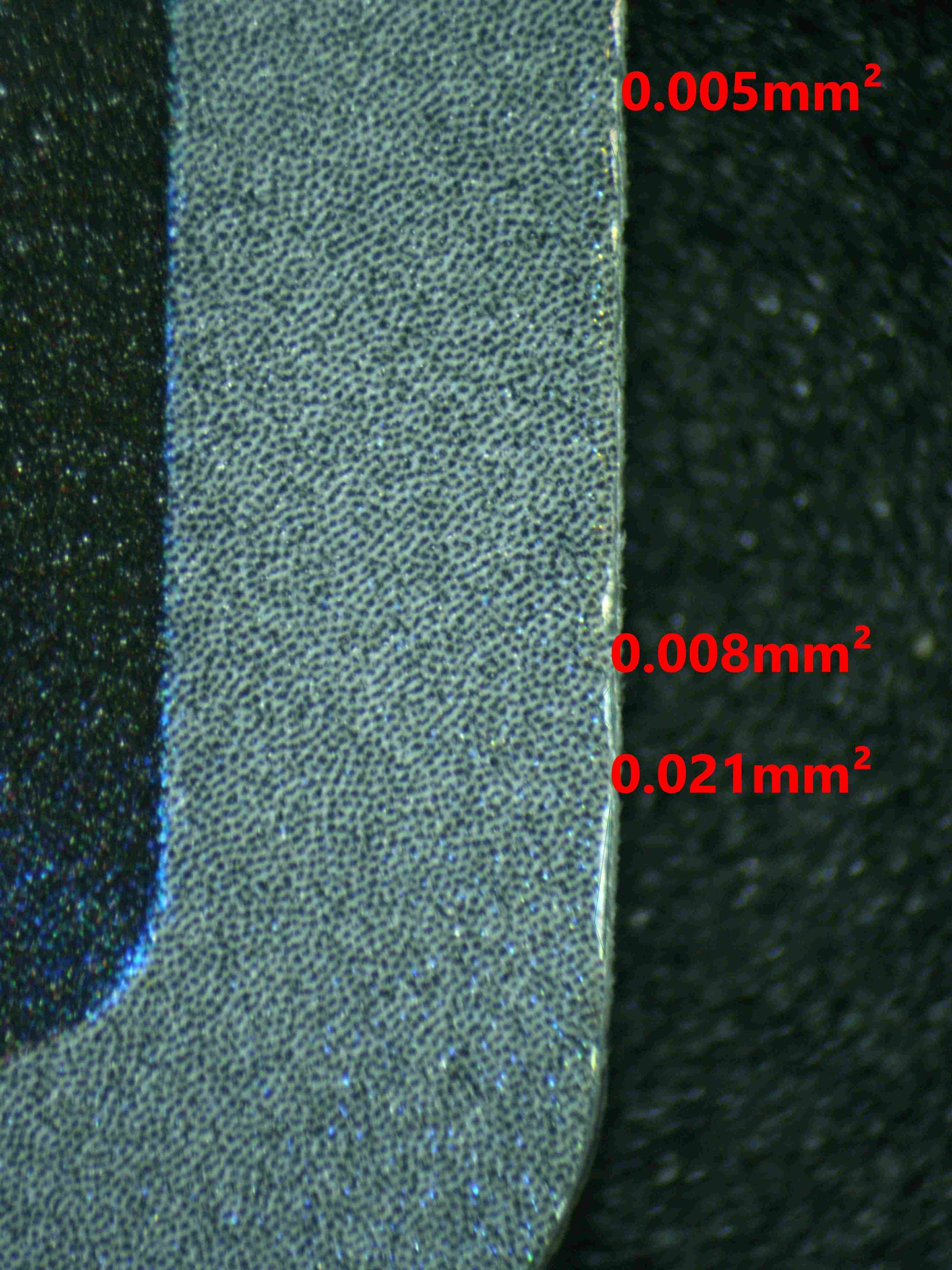 08084 MEWTWO Grading Card