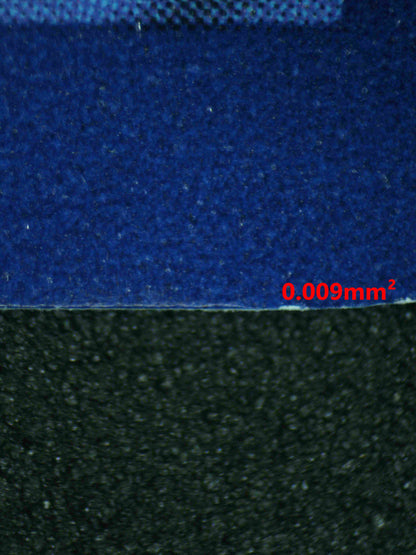 08086 GARCHOMP EX Grading Card