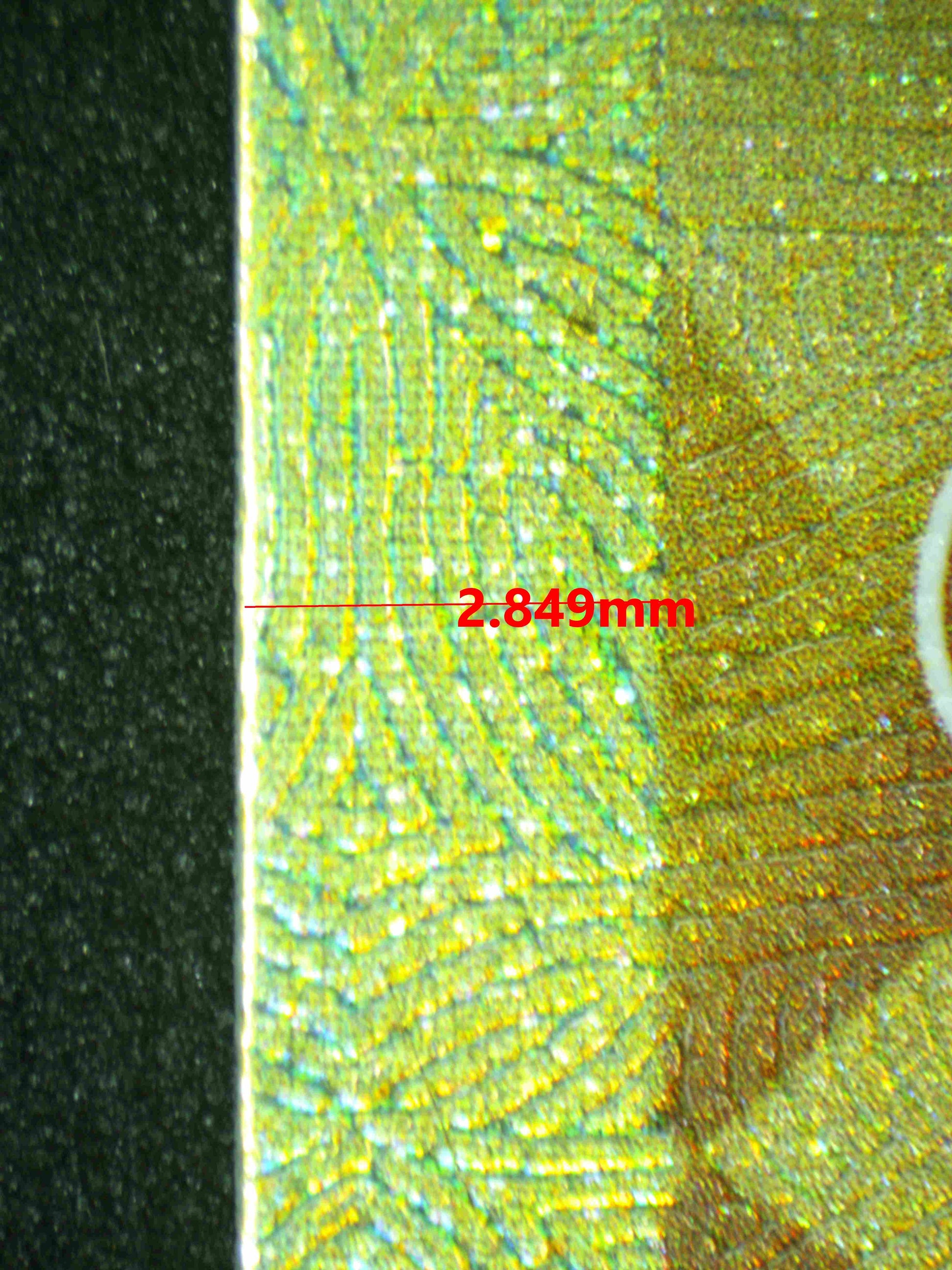 08086 GARCHOMP EX Grading Card