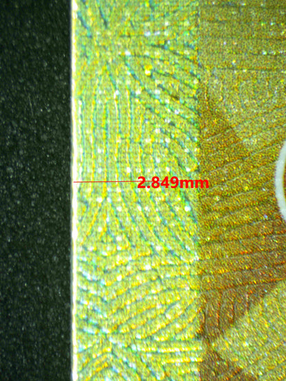 08086 GARCHOMP EX Grading Card