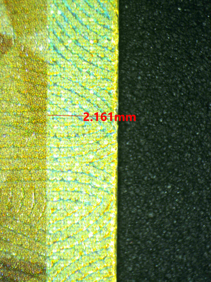 08086 GARCHOMP EX Grading Card