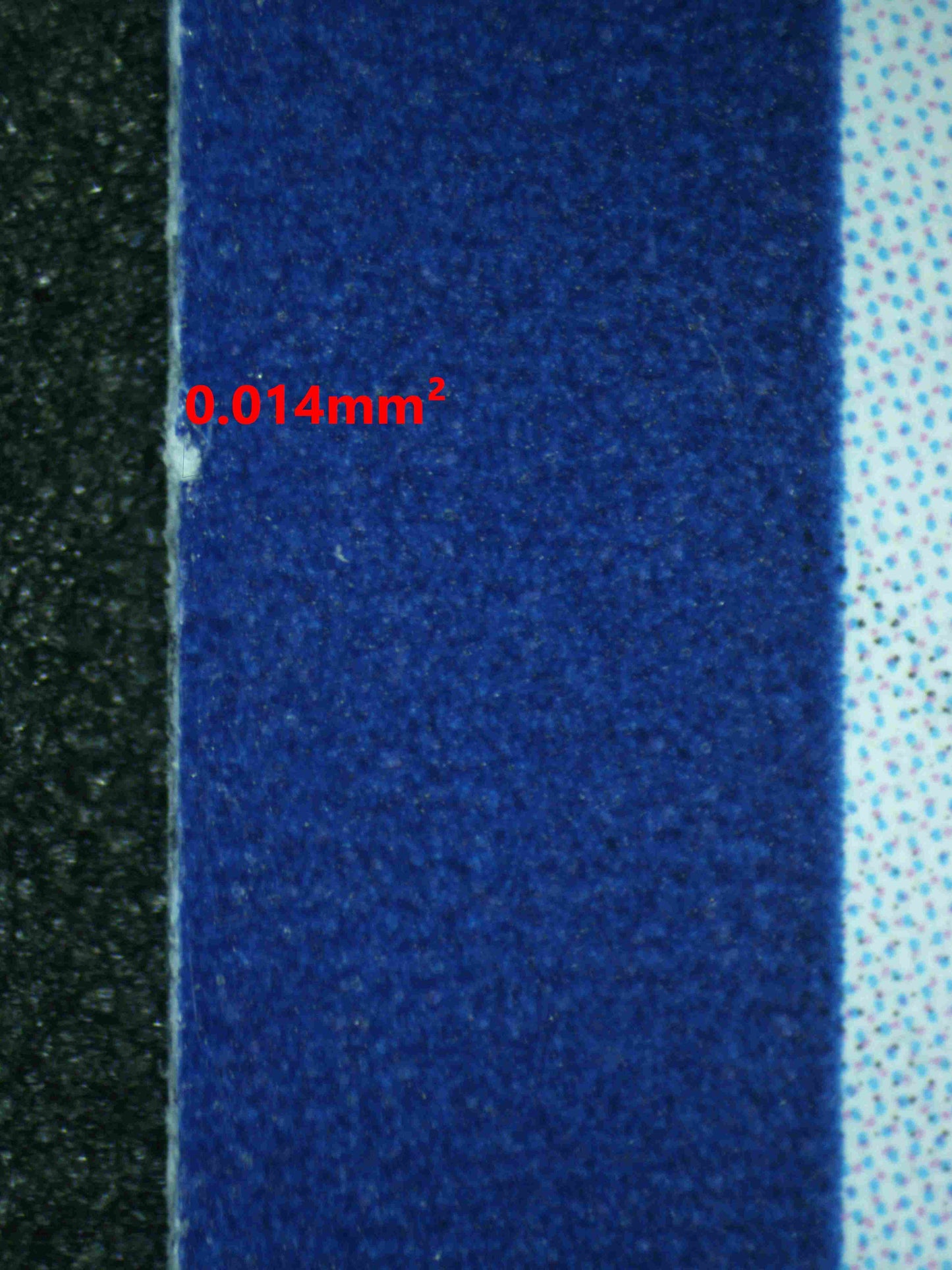 08088 MEW EX Grading Card