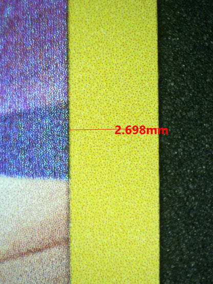 08090 GARDEVOIR Grading Card