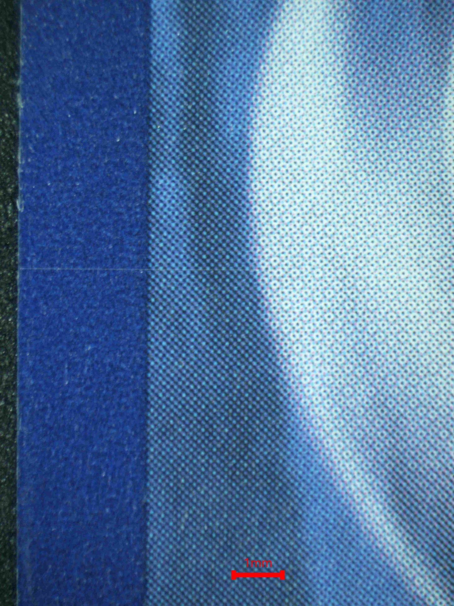 08093 UMBREON EX Grading Card