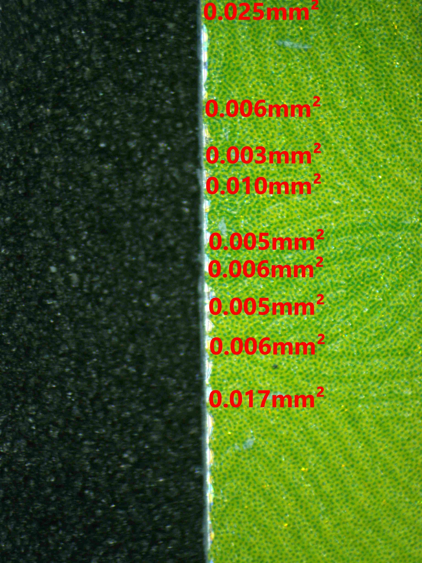 08093 UMBREON EX Grading Card