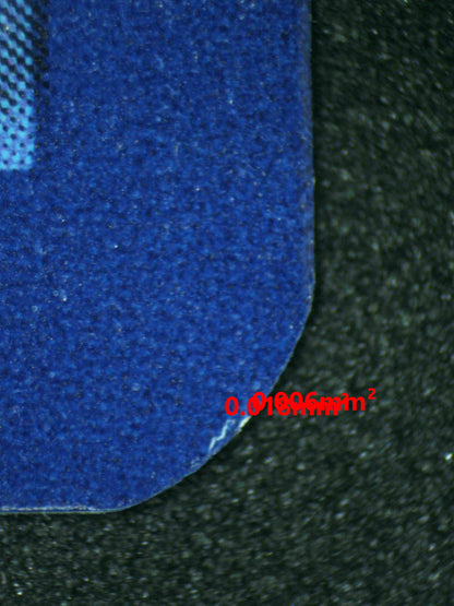 08096 MEW EX Grading Card