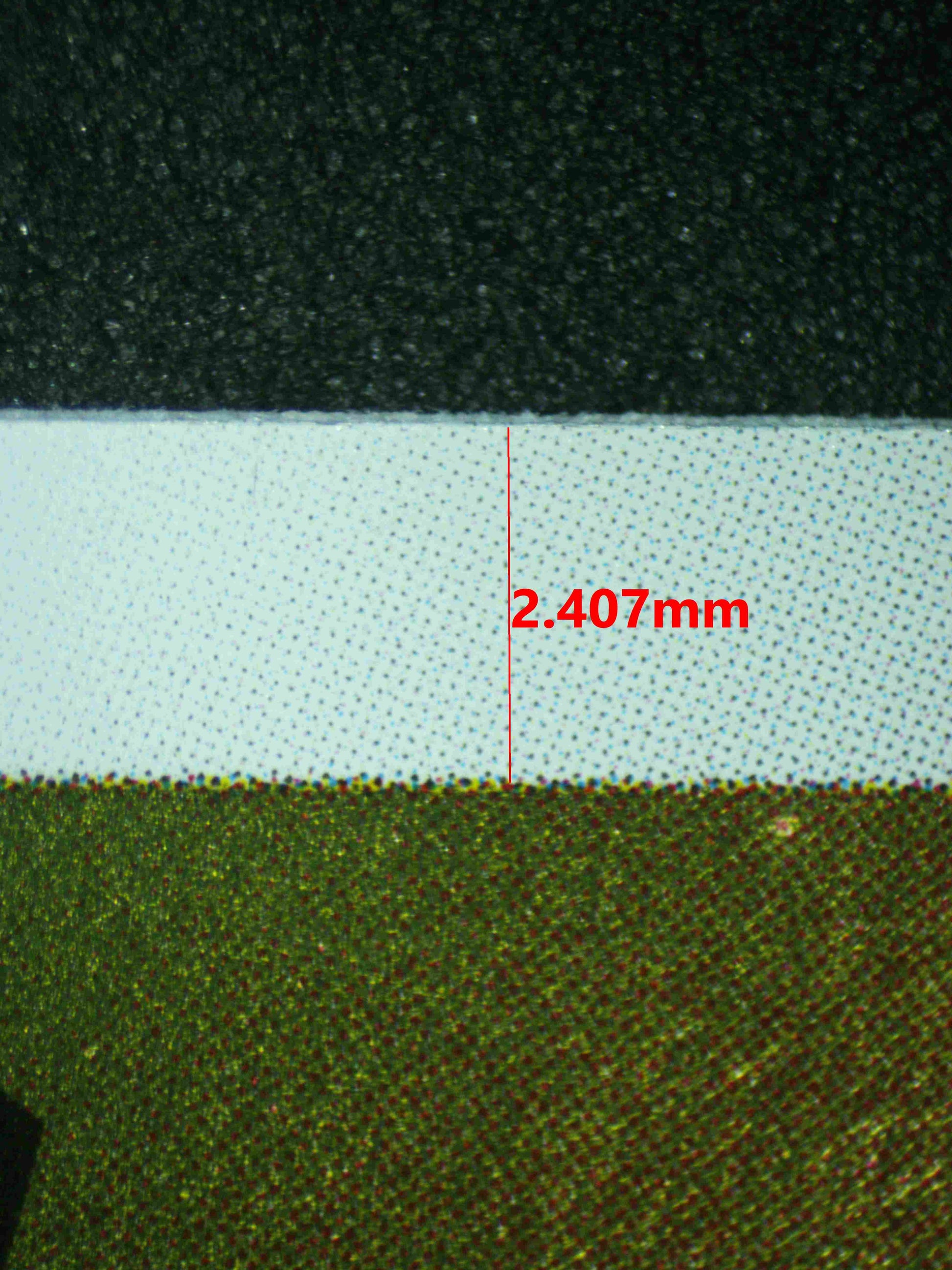 08101 PIKACHU (JAPANESE) Grading Card