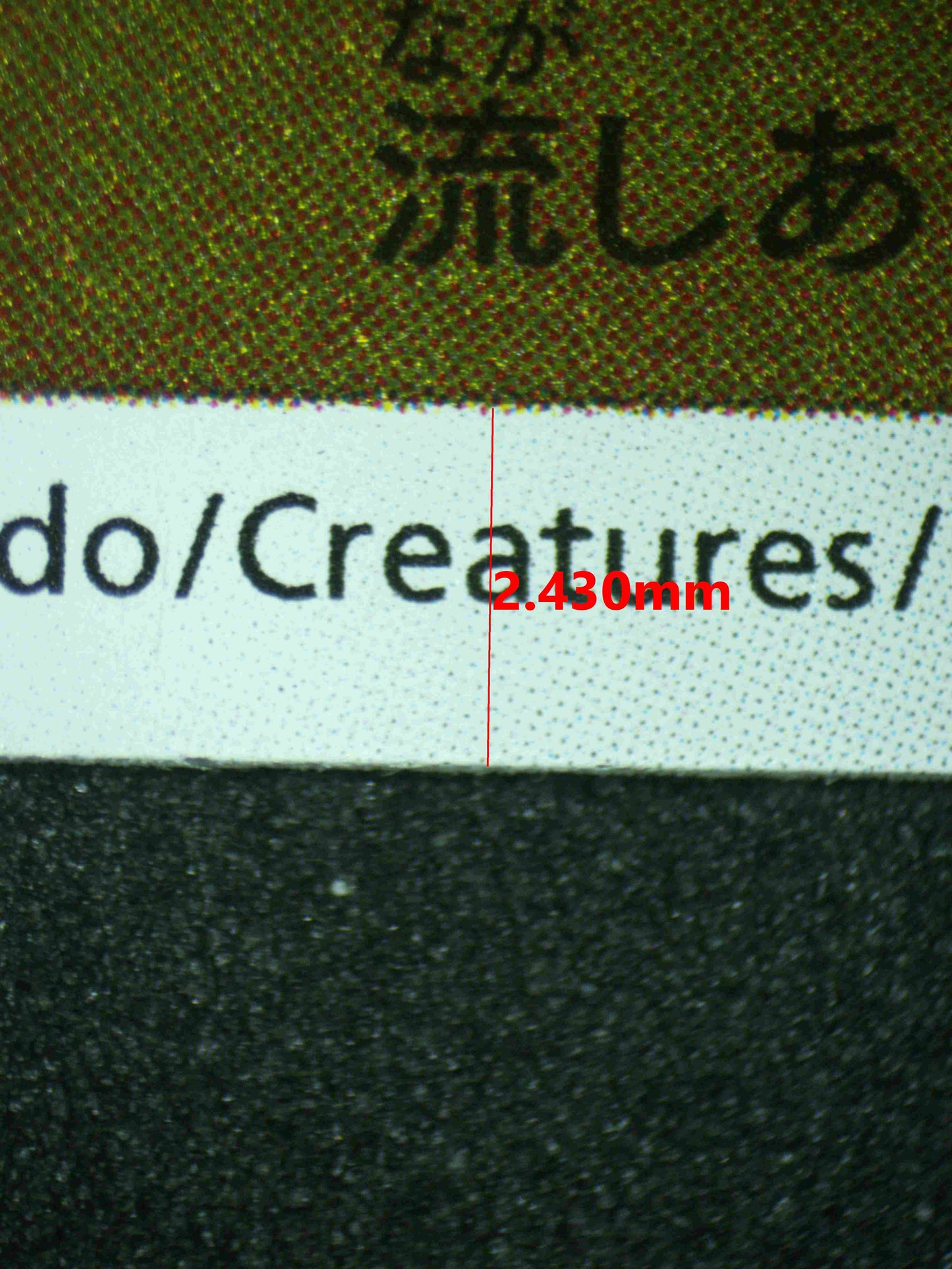 08101 PIKACHU (JAPANESE) Grading Card