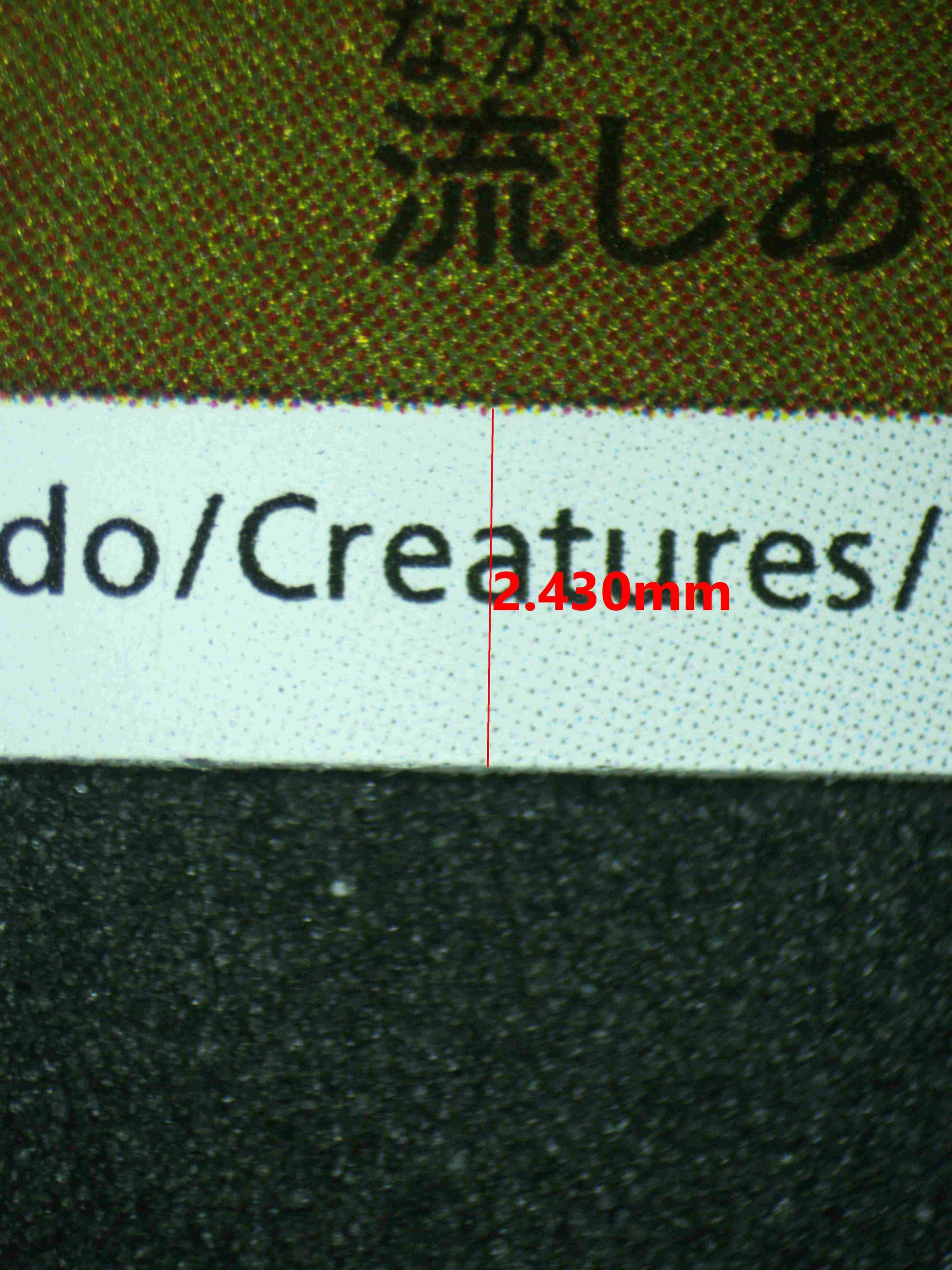 08101 PIKACHU (JAPANESE) Grading Card