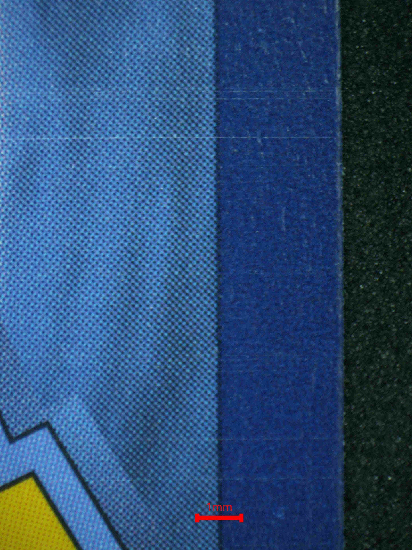 08102 EEVEE EX Grading Card