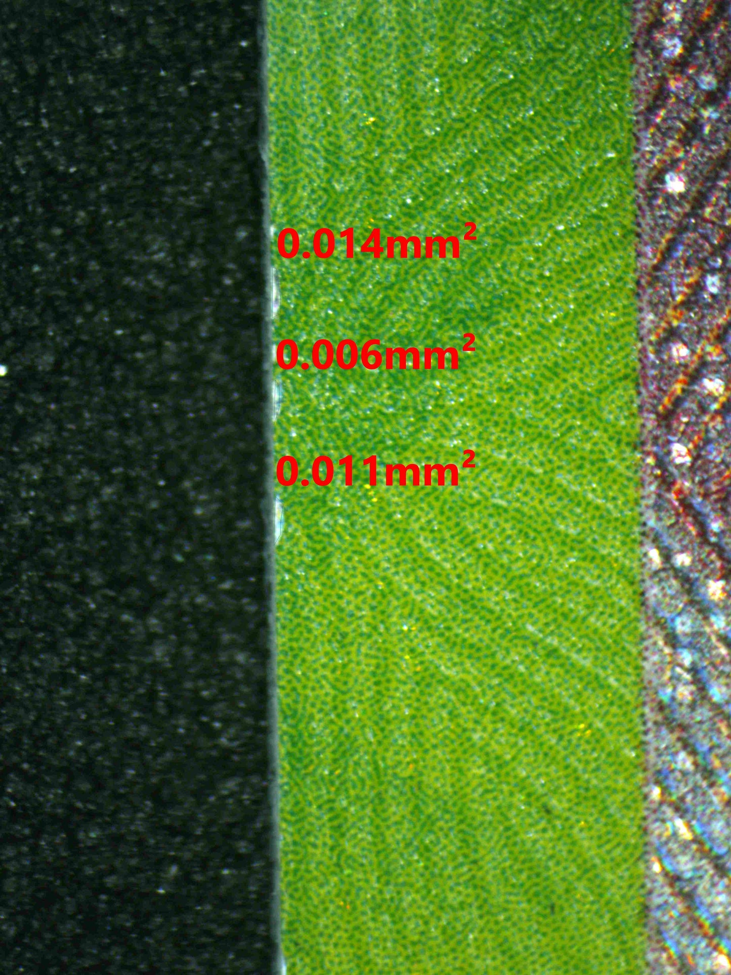 08116 SYLVEON EX Grading Card