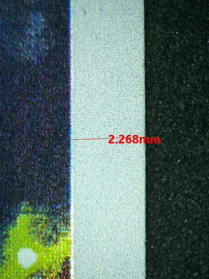 08120 TEAM ROCKET'S HOUNDOOM Grading Card