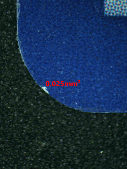 08121 HOP'S ZACIAN EX Grading Card