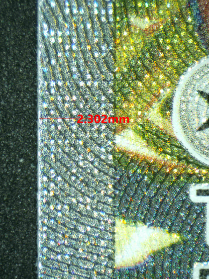 08121 HOP'S ZACIAN EX Grading Card