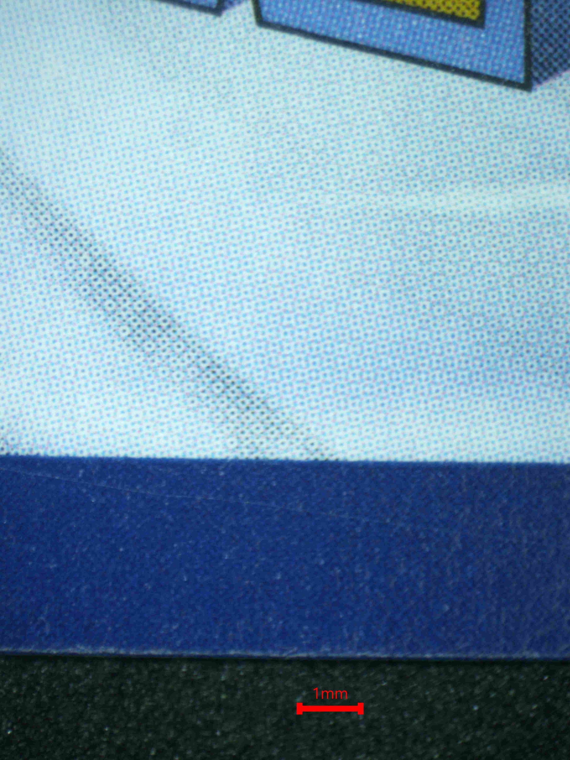 08126 MISTY'S PSYDUCK Grading Card