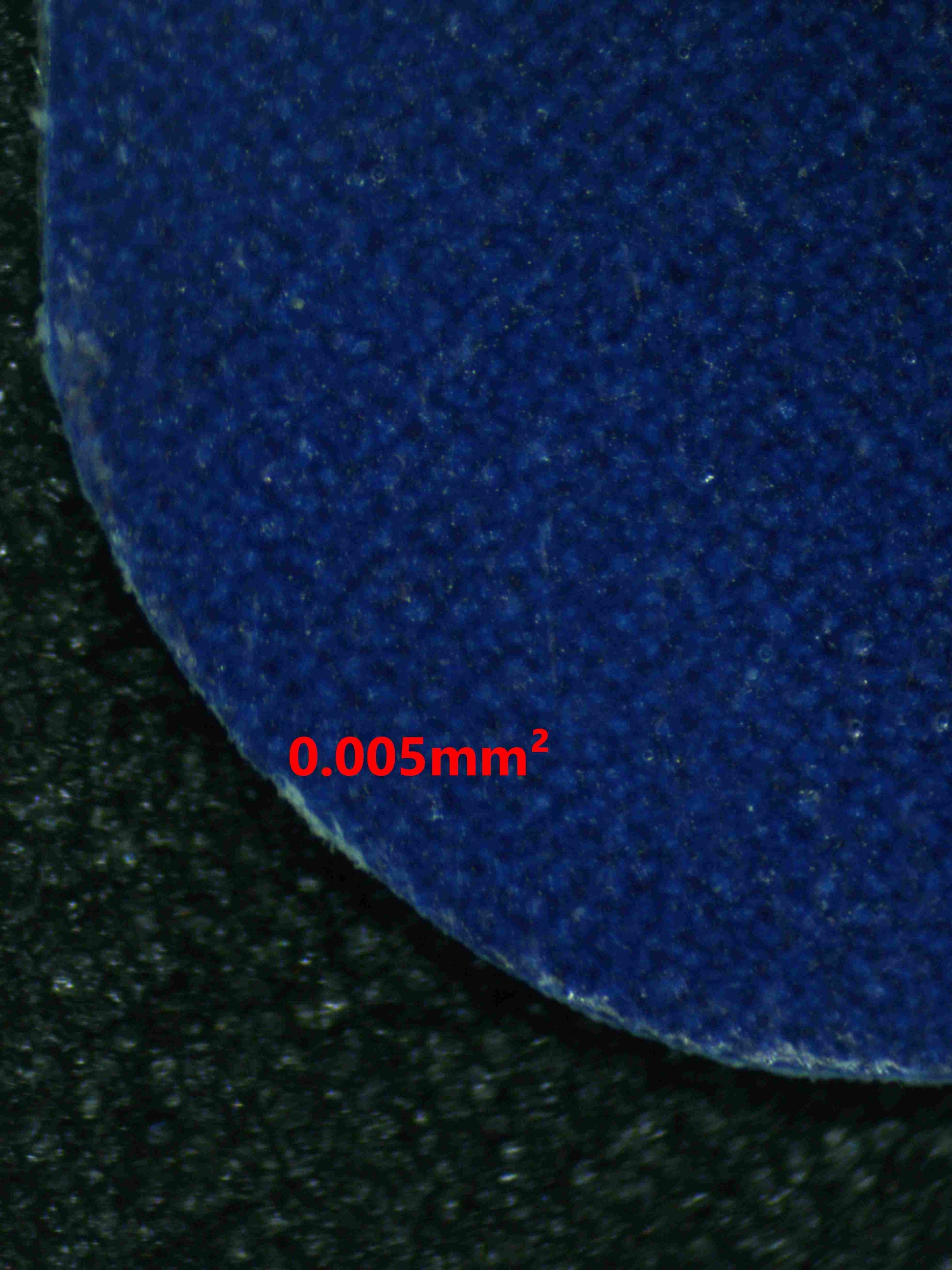 08126 MISTY'S PSYDUCK Grading Card