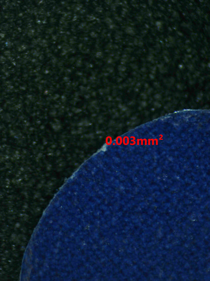 08126 MISTY'S PSYDUCK Grading Card