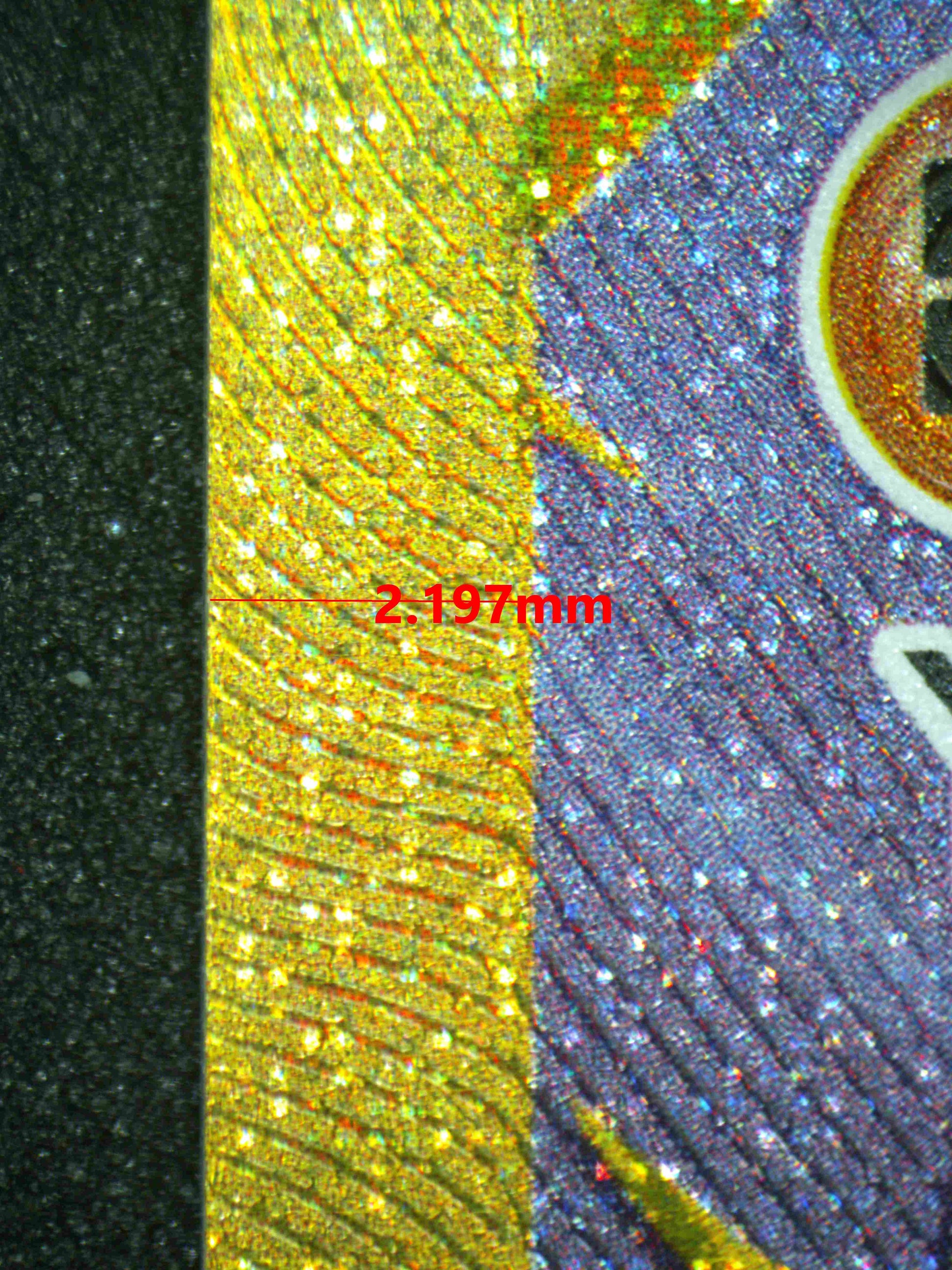 08135 CYNTHIA'S GARCHOMP EX Grading Card