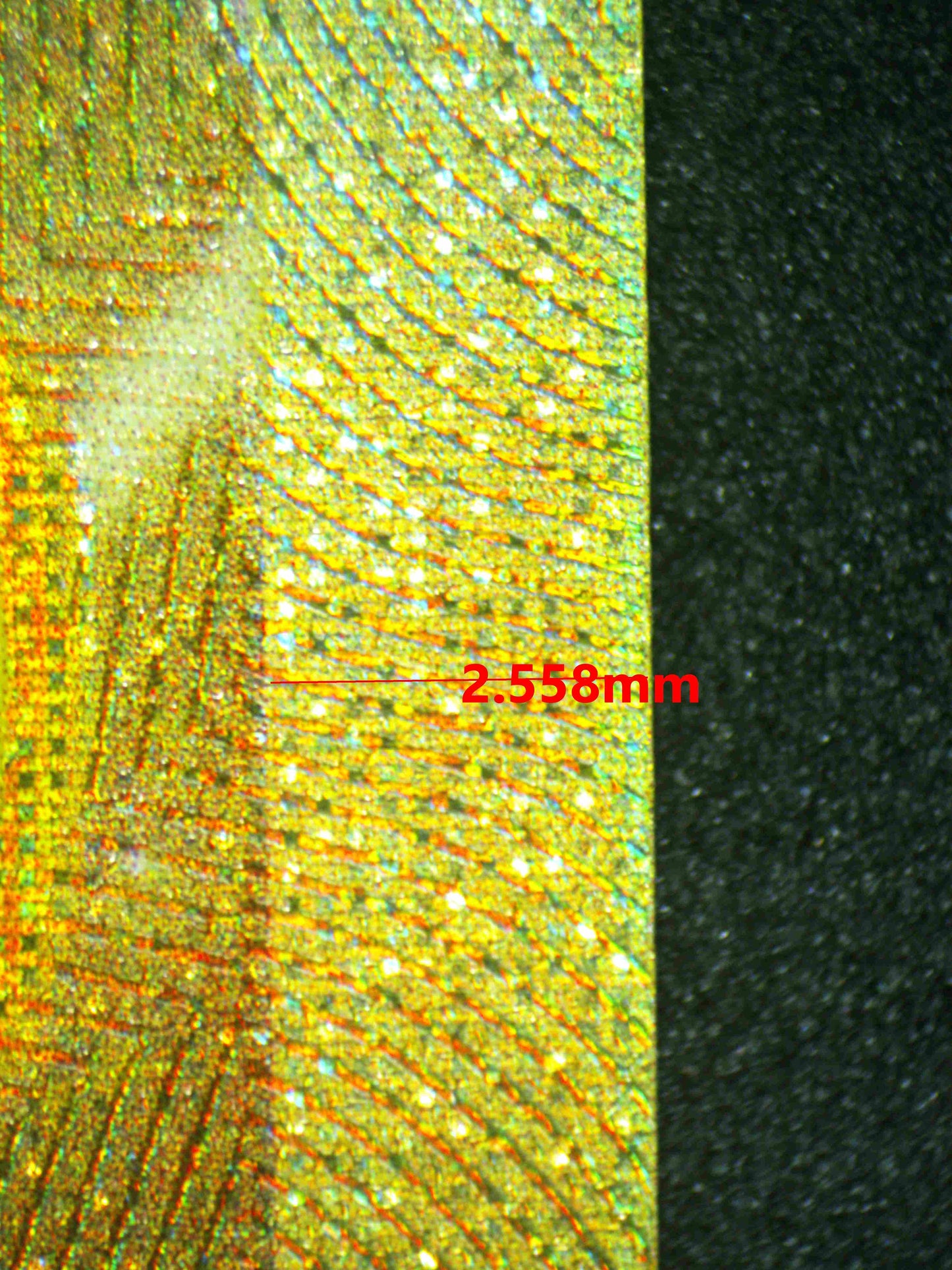 08135 CYNTHIA'S GARCHOMP EX Grading Card