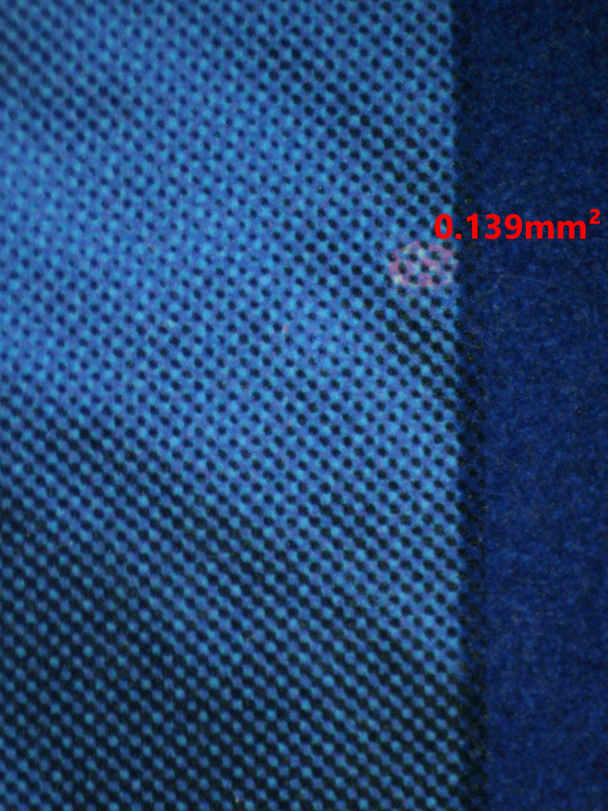 08140 SPHEAL (SPANISH) Grading Card