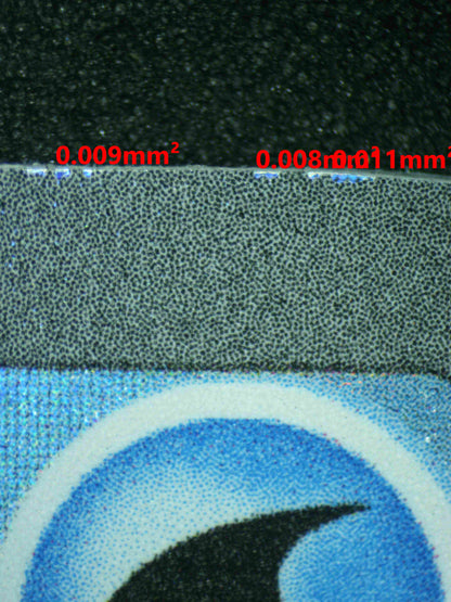 08140 SPHEAL (SPANISH) Grading Card