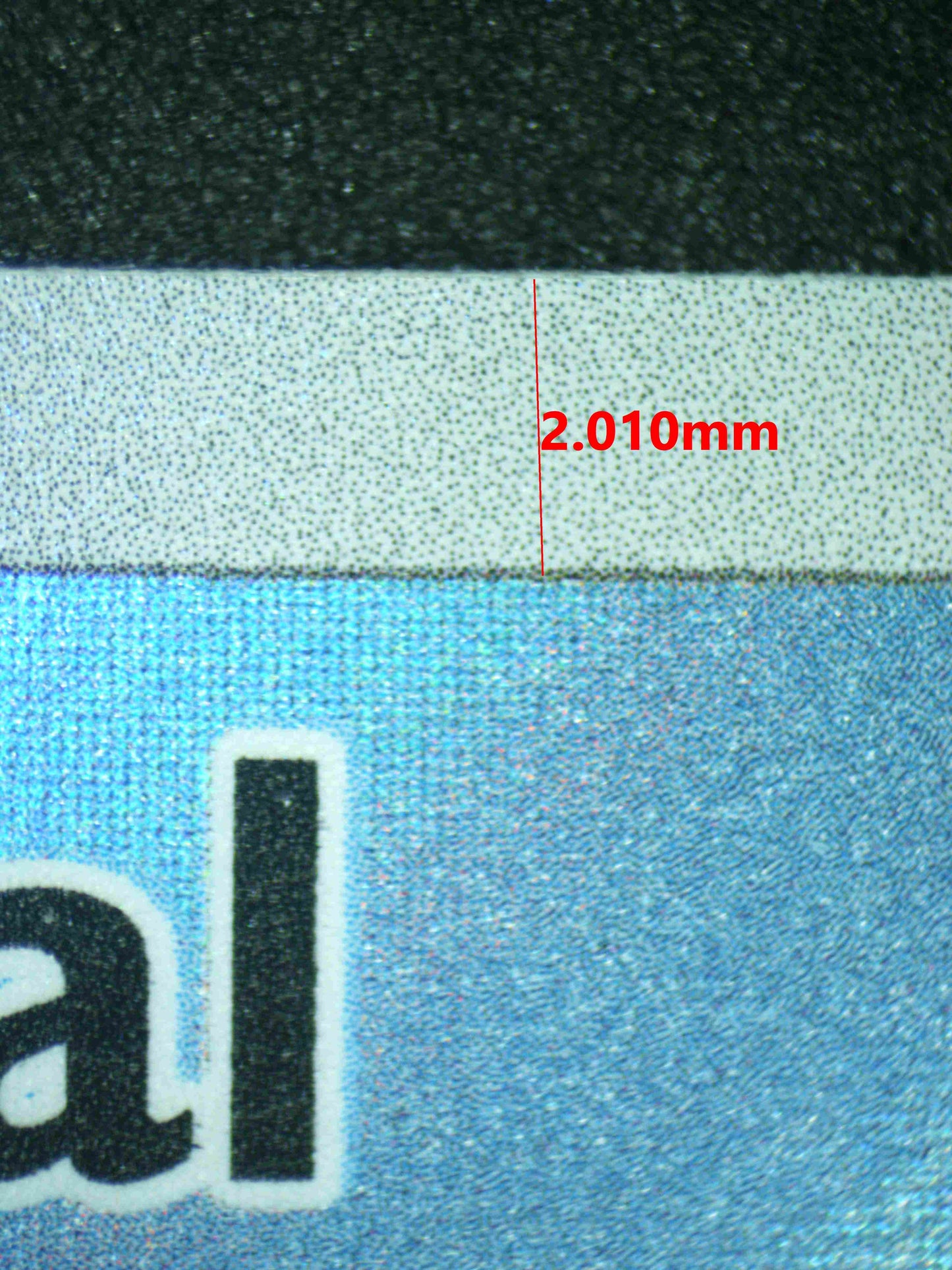 08140 SPHEAL (SPANISH) Grading Card