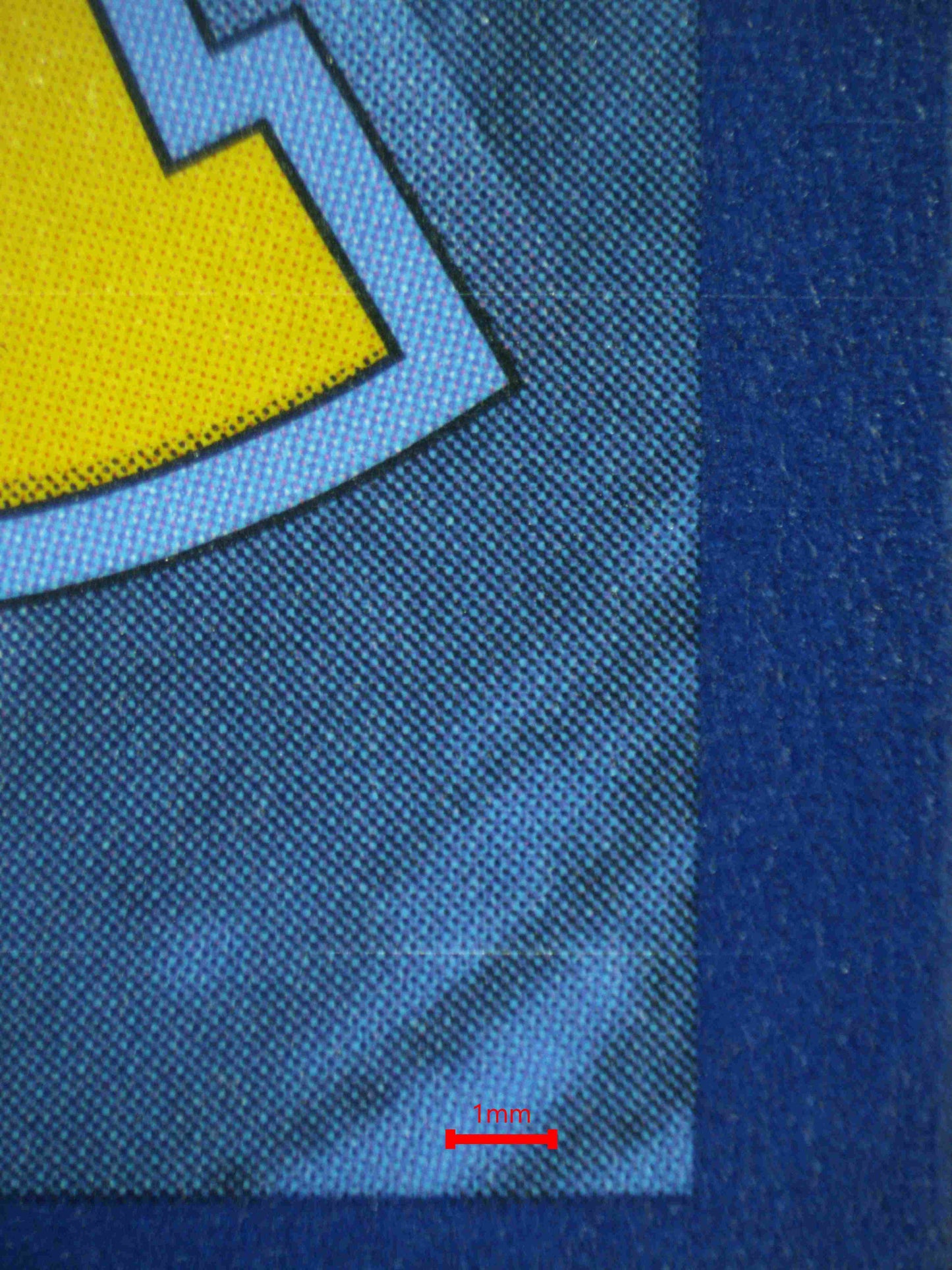 08141 PALAFIN Grading Card