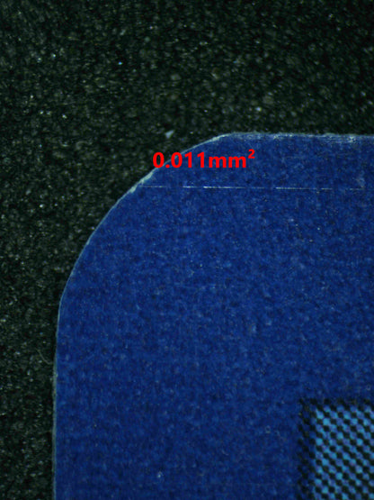 08141 PALAFIN Grading Card