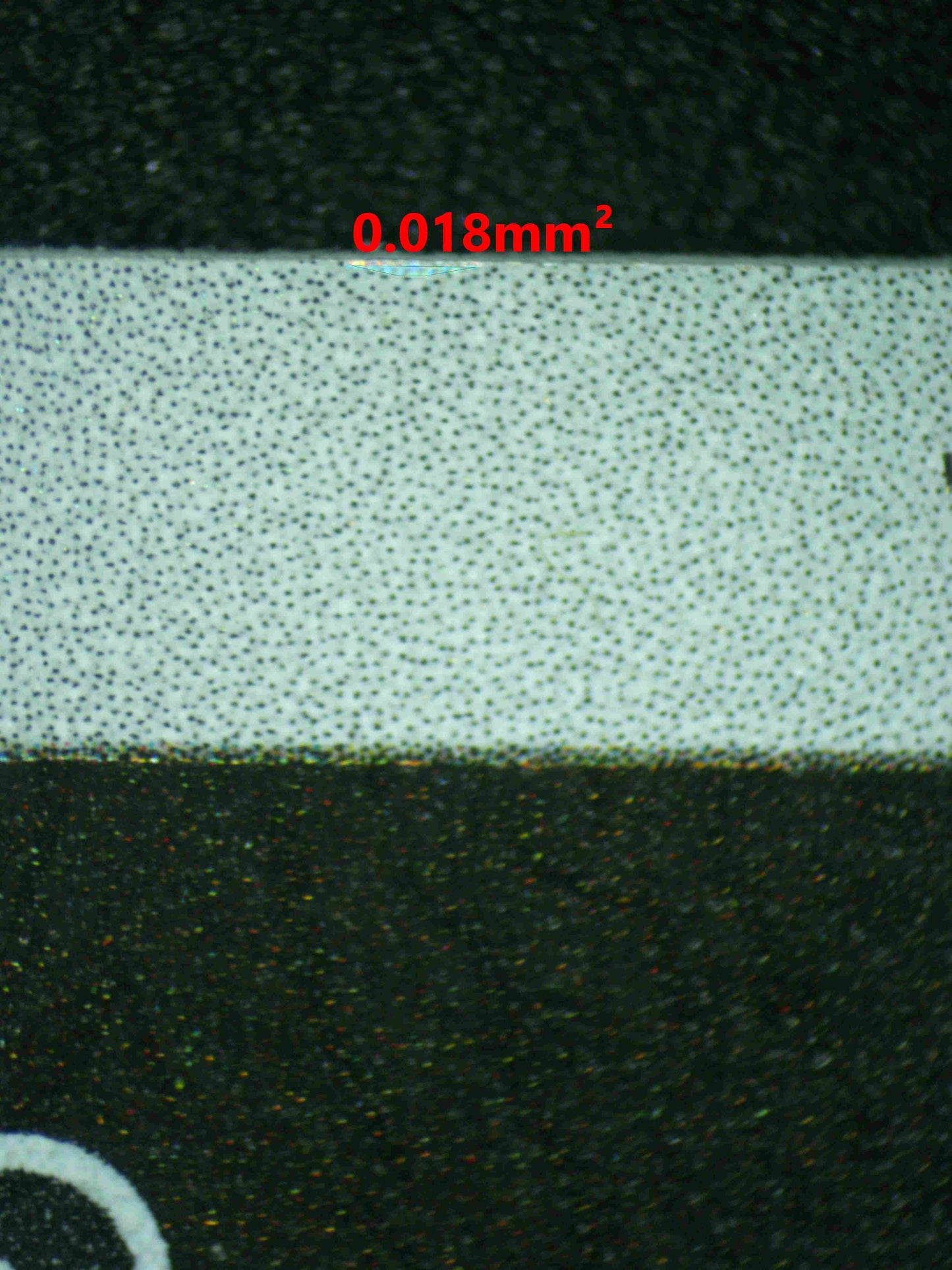 08141 PALAFIN Grading Card