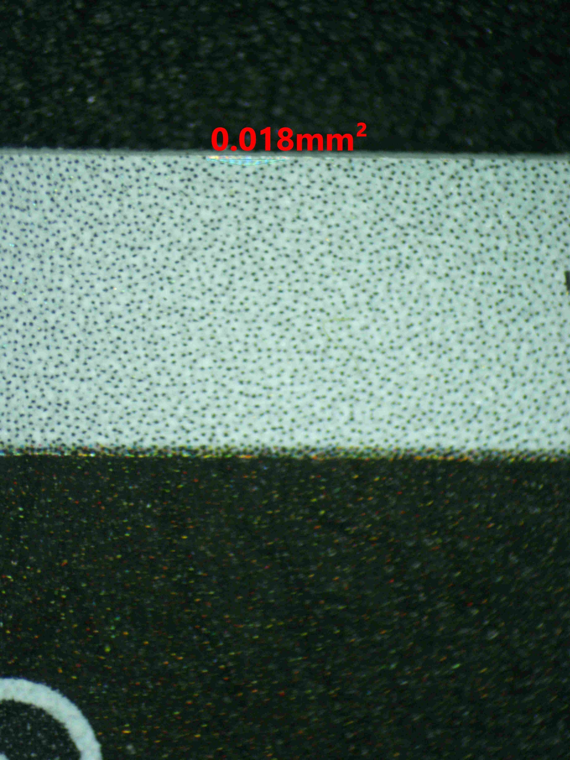 08141 PALAFIN Grading Card