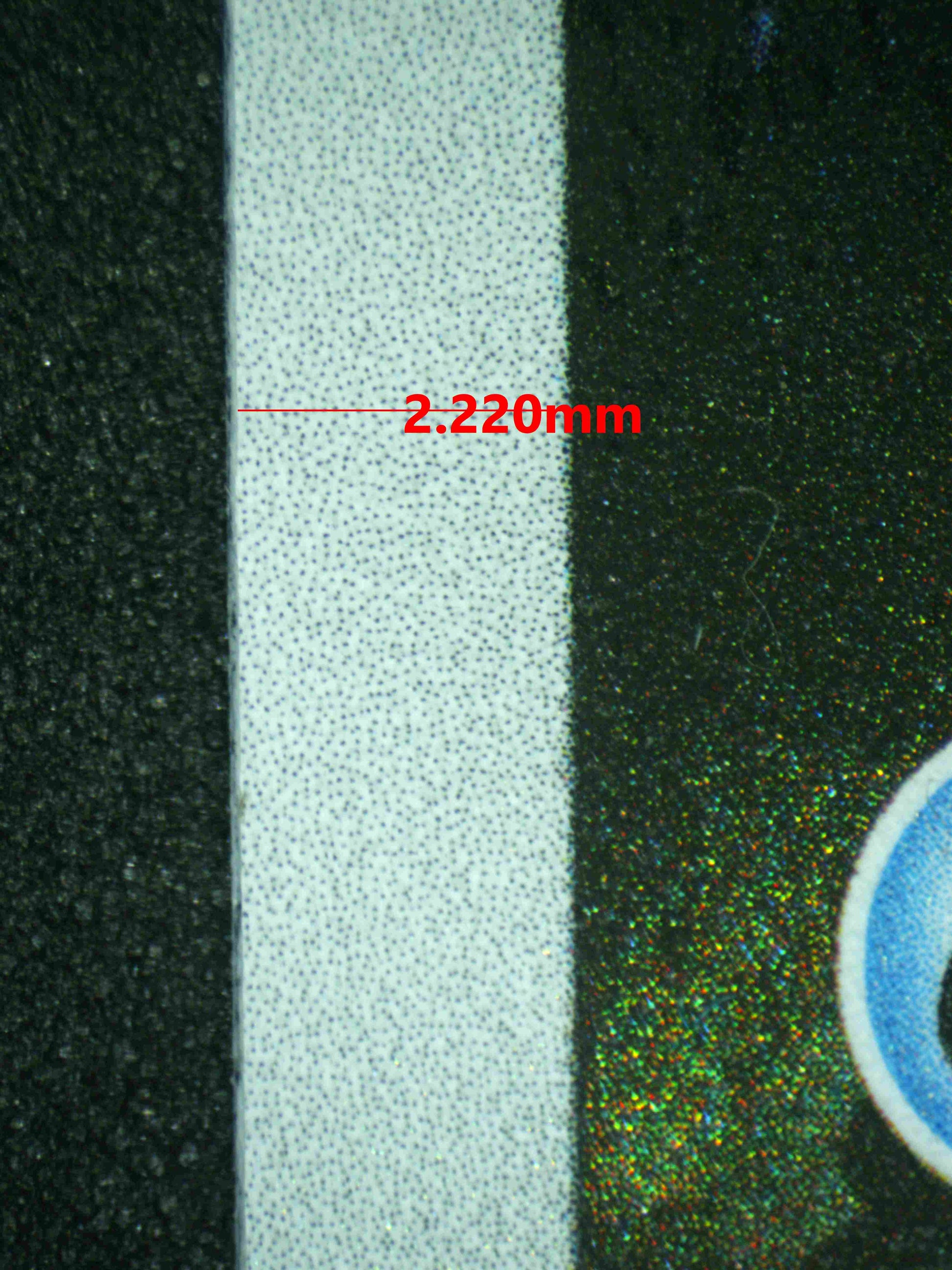 08141 PALAFIN Grading Card