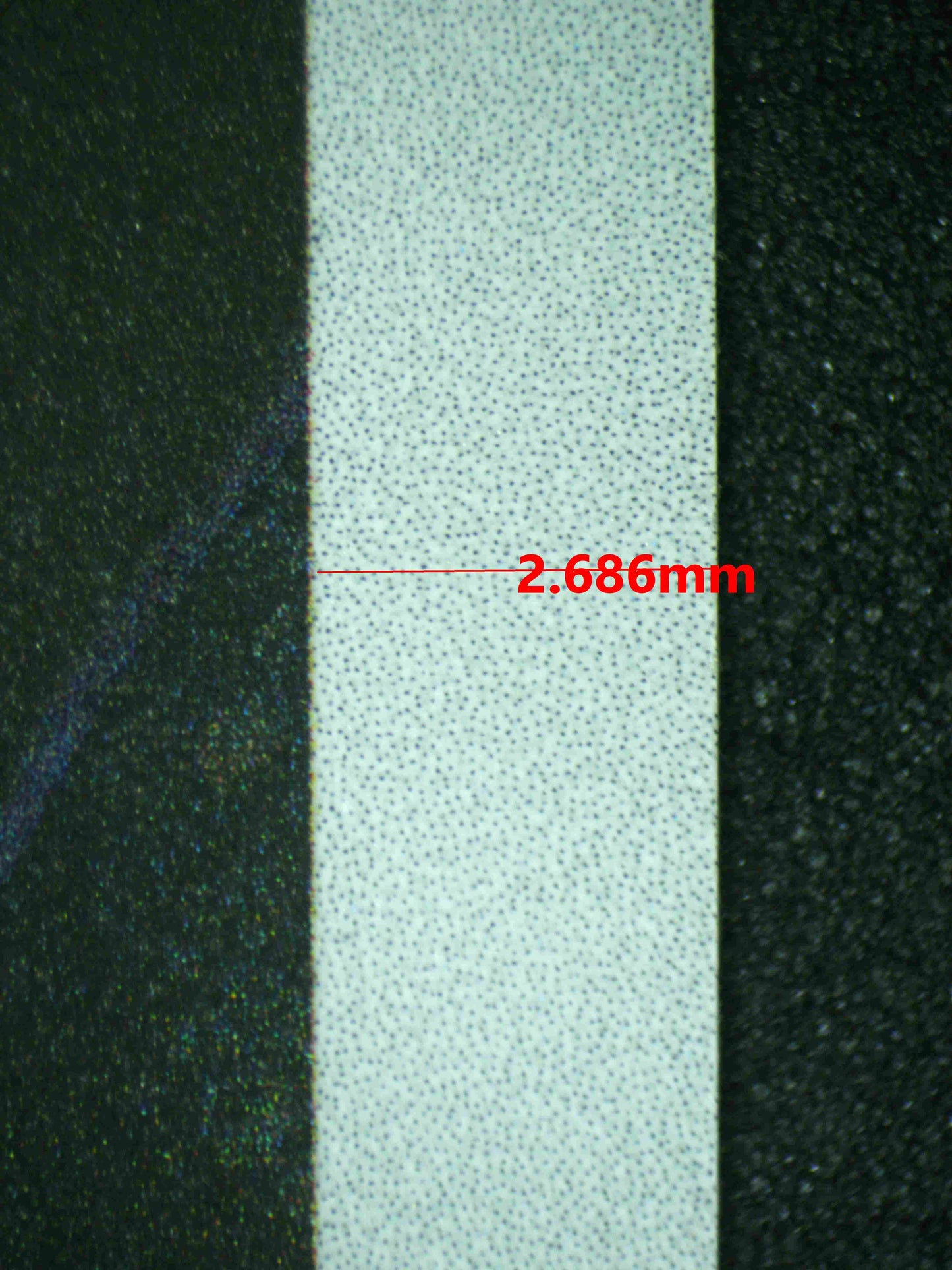 08141 PALAFIN Grading Card