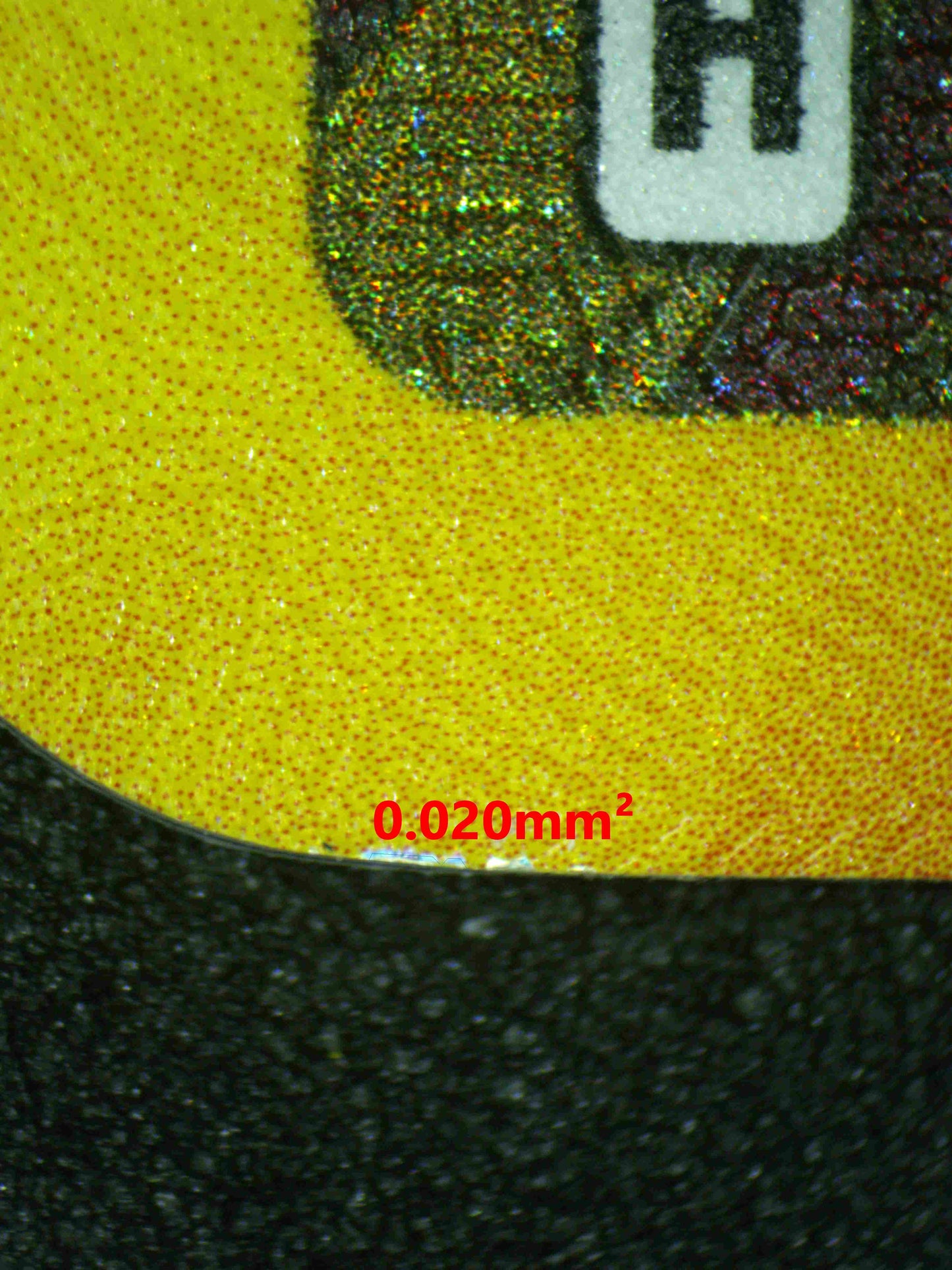 08144 UMBREON EX Grading Card