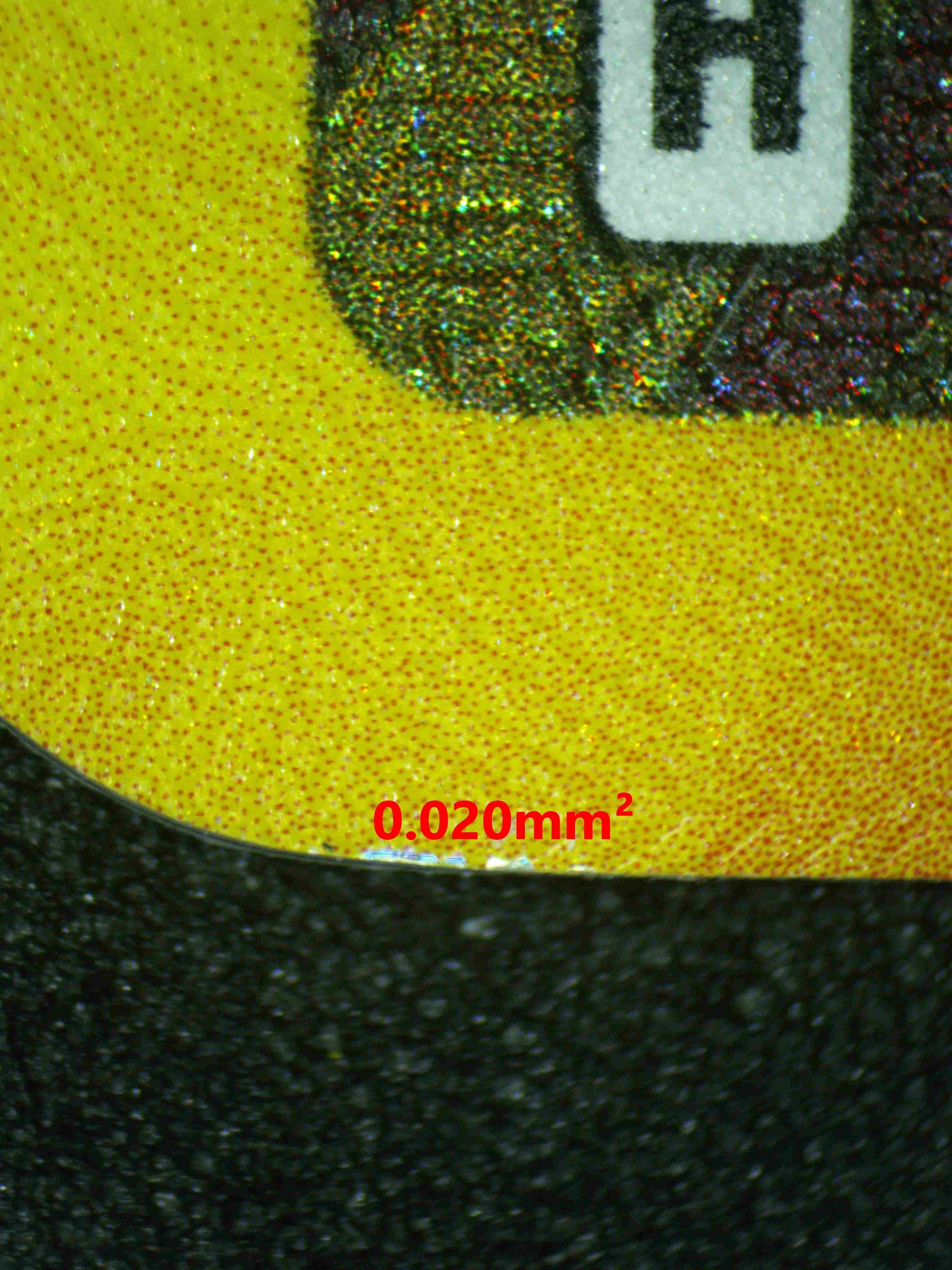 08144 UMBREON EX Grading Card